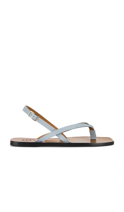 Atp Atelier Teolo Sandals In Blue