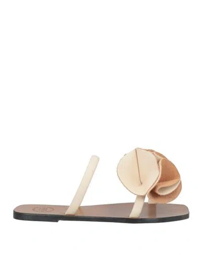 Atp Atelier Woman Sandals Ivory Size 7 Cowhide In White