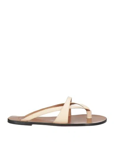ATP ATELIER ATP ATELIER WOMAN THONG SANDAL BEIGE SIZE 6 LEATHER