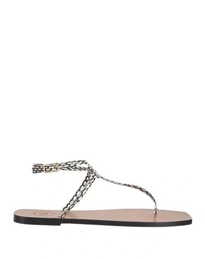 Atp Atelier Woman Thong Sandal Black Size 6 Leather