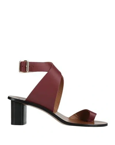 Atp Atelier Woman Thong Sandal Plum Size 7 Cowhide In Burgundy