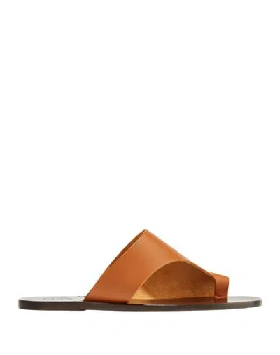 Atp Atelier Woman Thong Sandal Tan Size 5 Cowhide In Brown