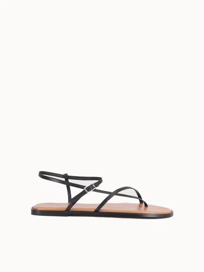 Atp Atelier Wome's Capri Nappa Flat Sandals In Black