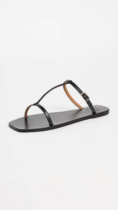 Atp Atelier Women's Gualdo Flat Sandals In Black