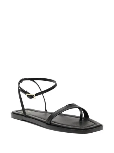 Atp Atelier Women's Miane Sandals In Black