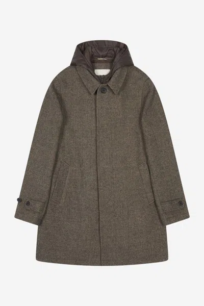 At.p.co Coats In Brown