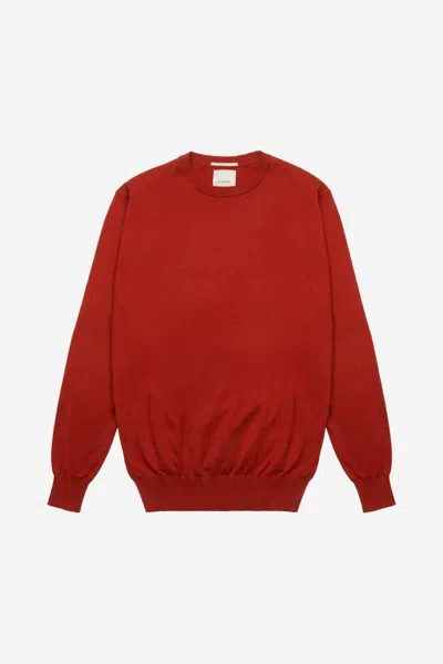 At.p.co Jerseys In Animal Print