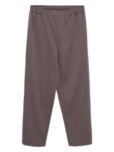 Attachment Cotton Double-face Lounge Pants In Brown