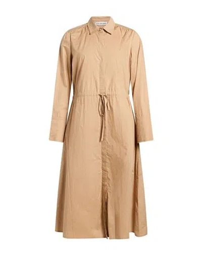 Attic And Barn Woman Midi Dress Sand Size 8 Cotton In Beige