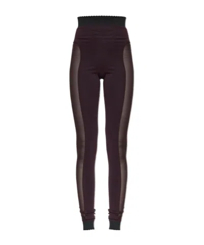 Attico High Rise Technical Mesh Panel Leggings In Burgundy