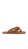 Attico Indie Flat Thong Sandal In Brown