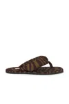 Attico Infradito ''indie'' Dark Green E Dark Brown In Black