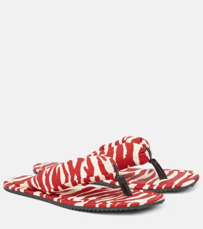 Attico Zebra Printed Indie Flat Thong Sandal In Red/milk