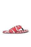 Attico Zebra Printed Indie Flat Thong Sandal In Red & Milk
