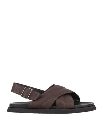 Attimonelli's Man Sandals Dark Brown Size 8 Leather