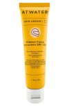 Atwater Skin Armor Mineral Facial Sunscreen Spf 50+ In No Color