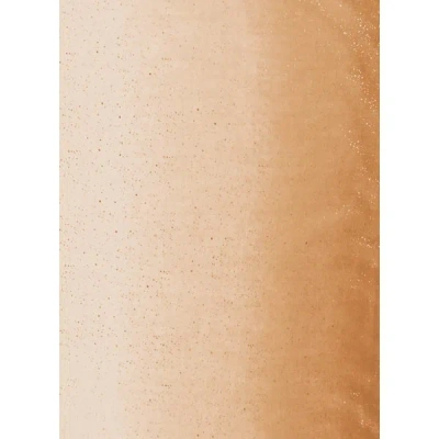 Au Printemps Paris Etole Dégradée