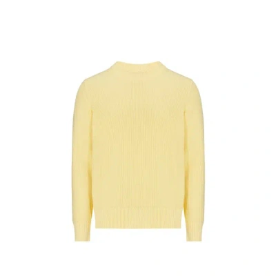 Au Printemps Paris Pull En Coton In Yellow