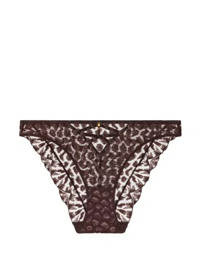 Aubade Crazy In Love Briefs In Brown