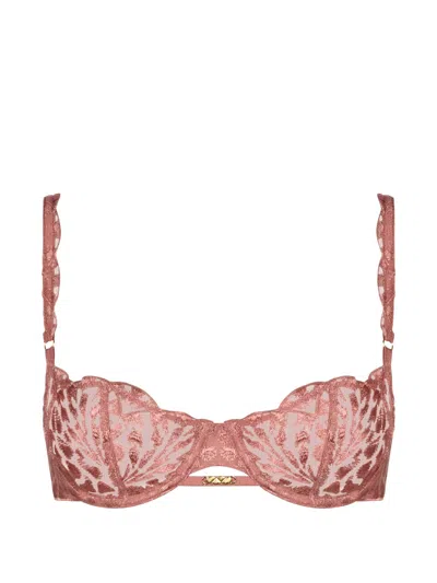 Aubade Crazy In Love Embroidered Bra In Pink