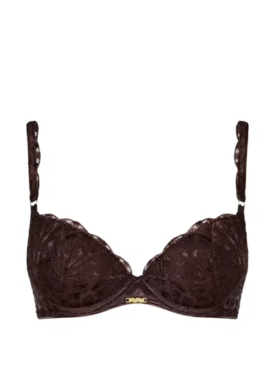 Aubade Crazy In Love Push-up Bra In Brown
