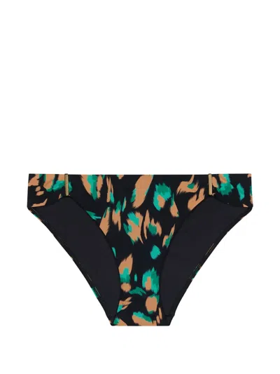 Aubade Feline Energy Leopard-print Bikini Bottoms In Multi