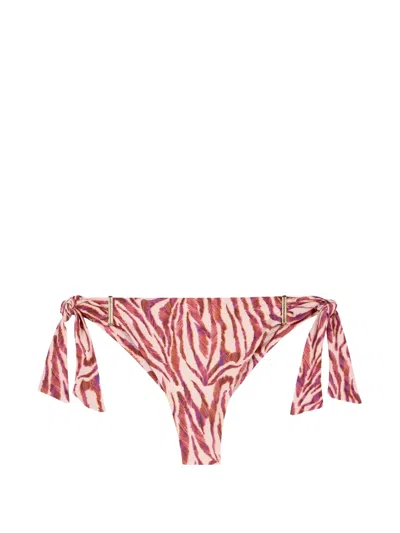 Aubade Feline Energy Tiger-print Bikini Bottoms In Red