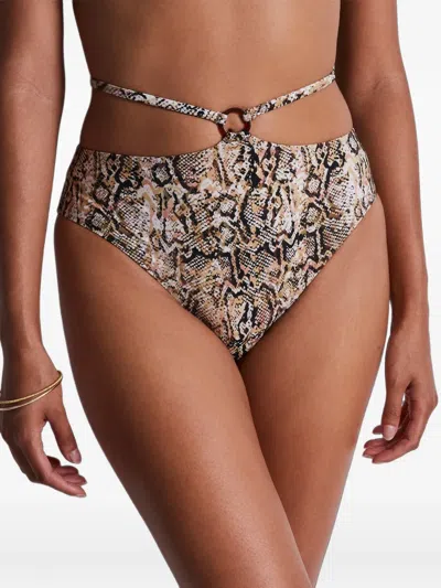 Aubade Fierce Spirit Snake-print Bikini Briefs In Multi