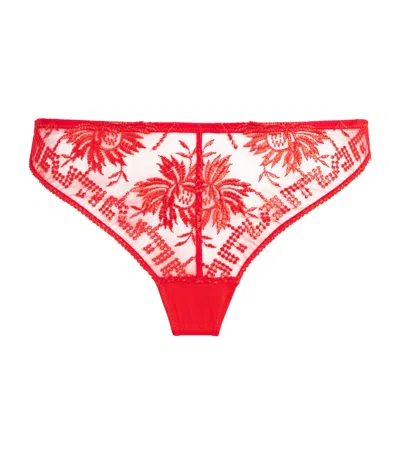 Aubade Floral Tanga In Red ModeSens