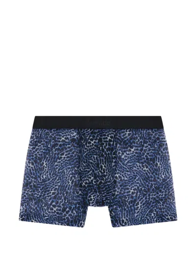 Aubade Leopard-print Boxers In Blue