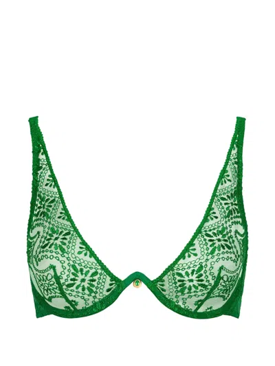 Aubade Losing My Mind Embroidered Bra In Green