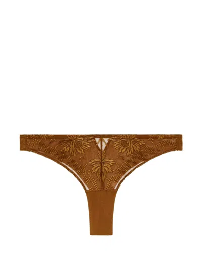 Aubade Rules Of Attraction Embroidered Briefs In Brown
