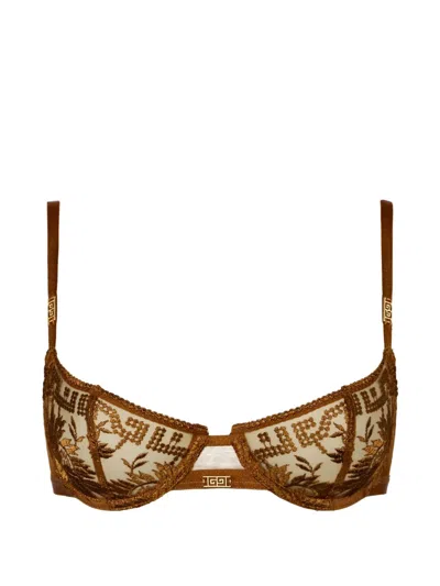Aubade Rules Of Attraction Embroidered Underwired Bra In Brown