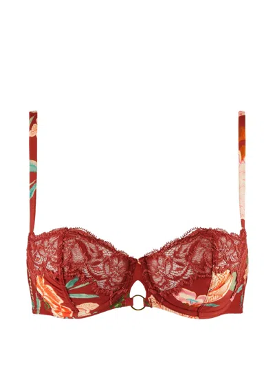 Aubade Sweet Folk Floral-print Lace-trim Bra In Brown