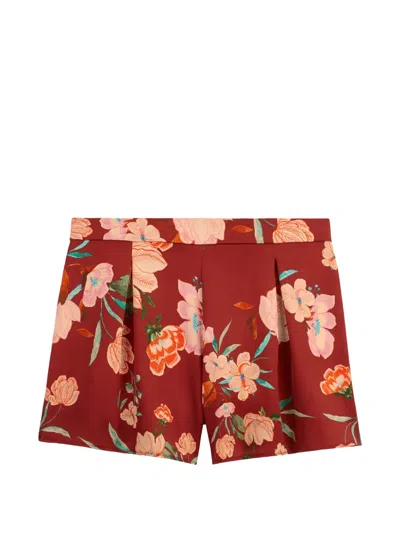 Aubade Sweet Folk Floral-print Pajama Shorts In Multi