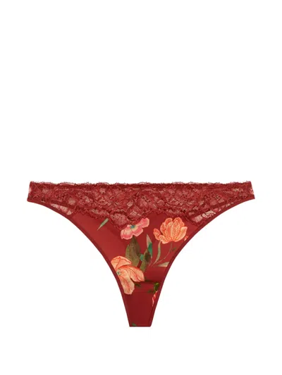 Aubade Sweetfolk Floral-print Thong In Brown