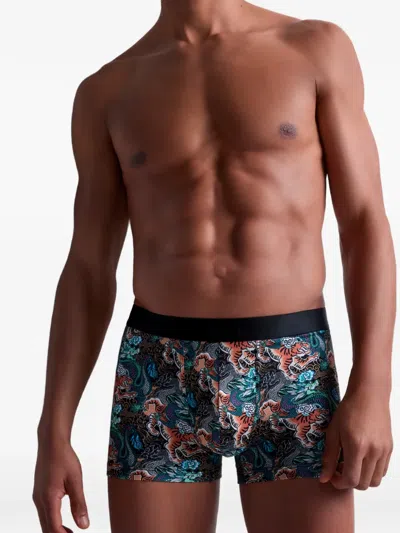 Aubade Tiger Dragon-print Boxers In Black