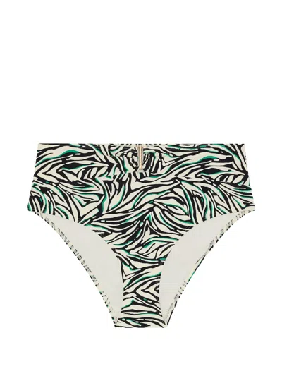 Aubade Tropical Splash Zebra-print Bikini Bottoms In Multi