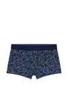Aubade Turtle-print Trunks In Blue