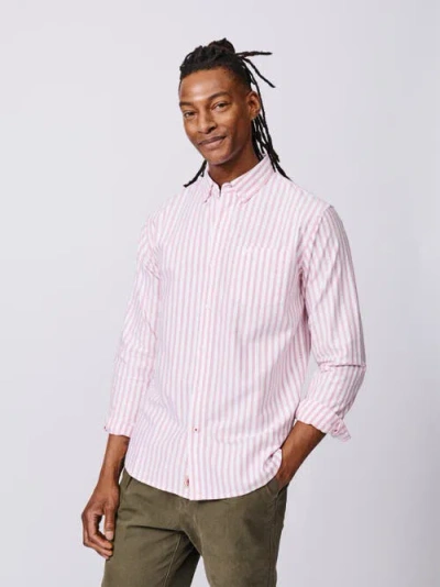 Aubin Aldridge Oxford Button Down Shirt In Pink