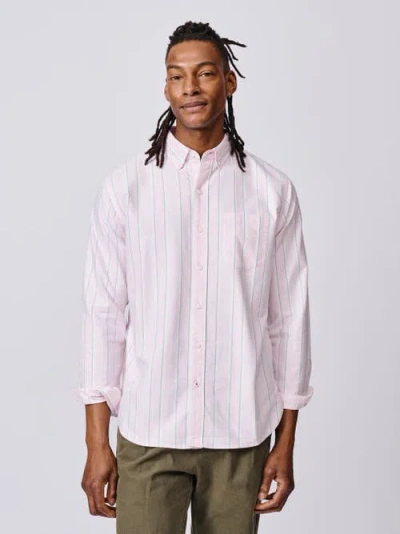 Aubin Aldridge Oxford Button Down Shirt In Pink