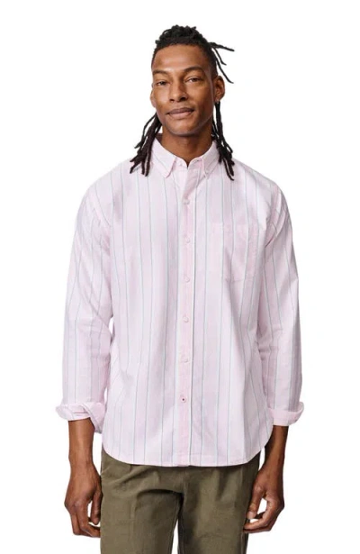 Aubin Aldridge Oxford Button Down Shirt In Pink