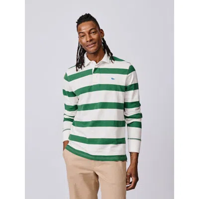 Aubin Irnham Long Sleeve Collared Rugby Shirt In Green