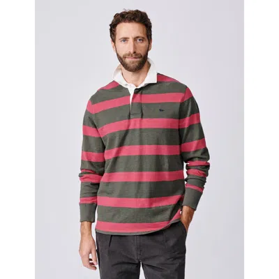 Aubin Irnham Long Sleeve Collared Rugby Shirt In Green