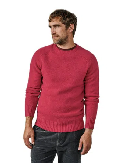 Aubin Prestwick Shetland Crew Neck Sweater In Rouge