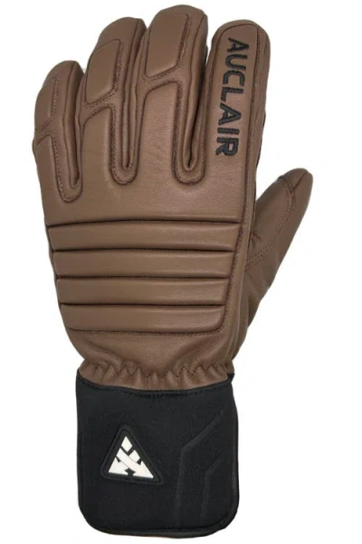 Auclair Outseam Gloves In Brown/black