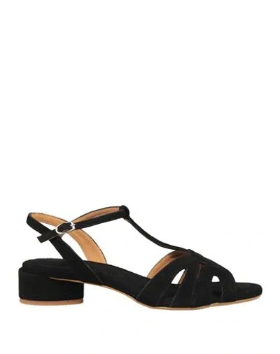 Audley Woman Sandals Black Size 11 Leather