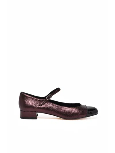Augusta Brown Leather Bebè Flats In Purple