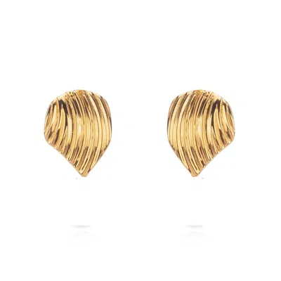 Augustine Jewels Women's Gold Shell Stud Earrings