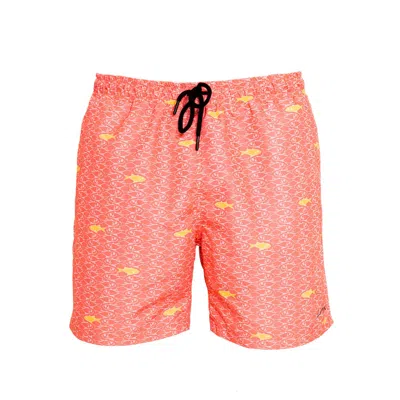 Aulala Paris Pink / Purple Aulaia X Lorieux - Men's Artistic Swim Shorts - Pink & Purple In Pink/purple